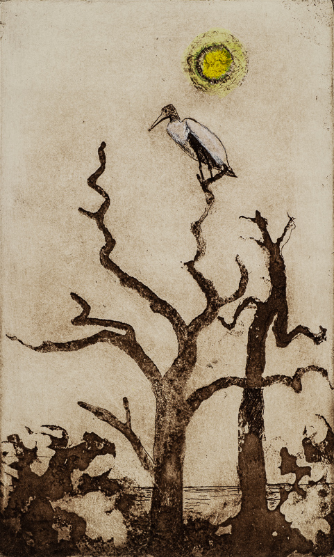 wood stork-2.jpg
